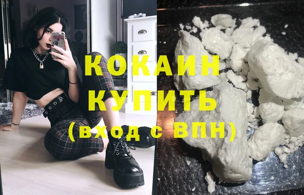 гидра Заводоуковск