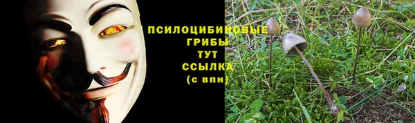 mdpv Заволжск
