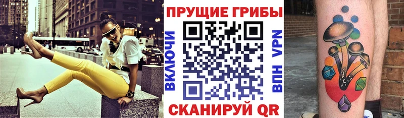 Купить закладки  Заволжье  Галлюциногенные грибы MAGIC MUSHROOMS 